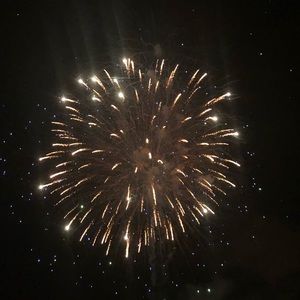 Meet your Posher, Todd